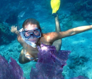 Great Snorkeling of Key West