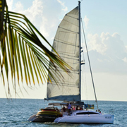 Key West Eco Tours